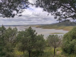 Flora del Cerro Masatrigo